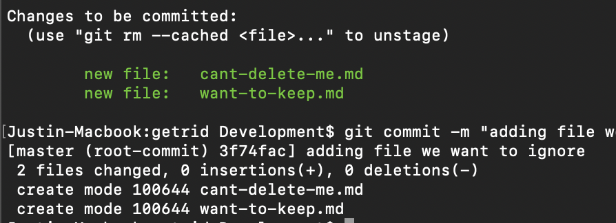 output from git shows two files to add: cant-delete-me.md and want-to-keep.md