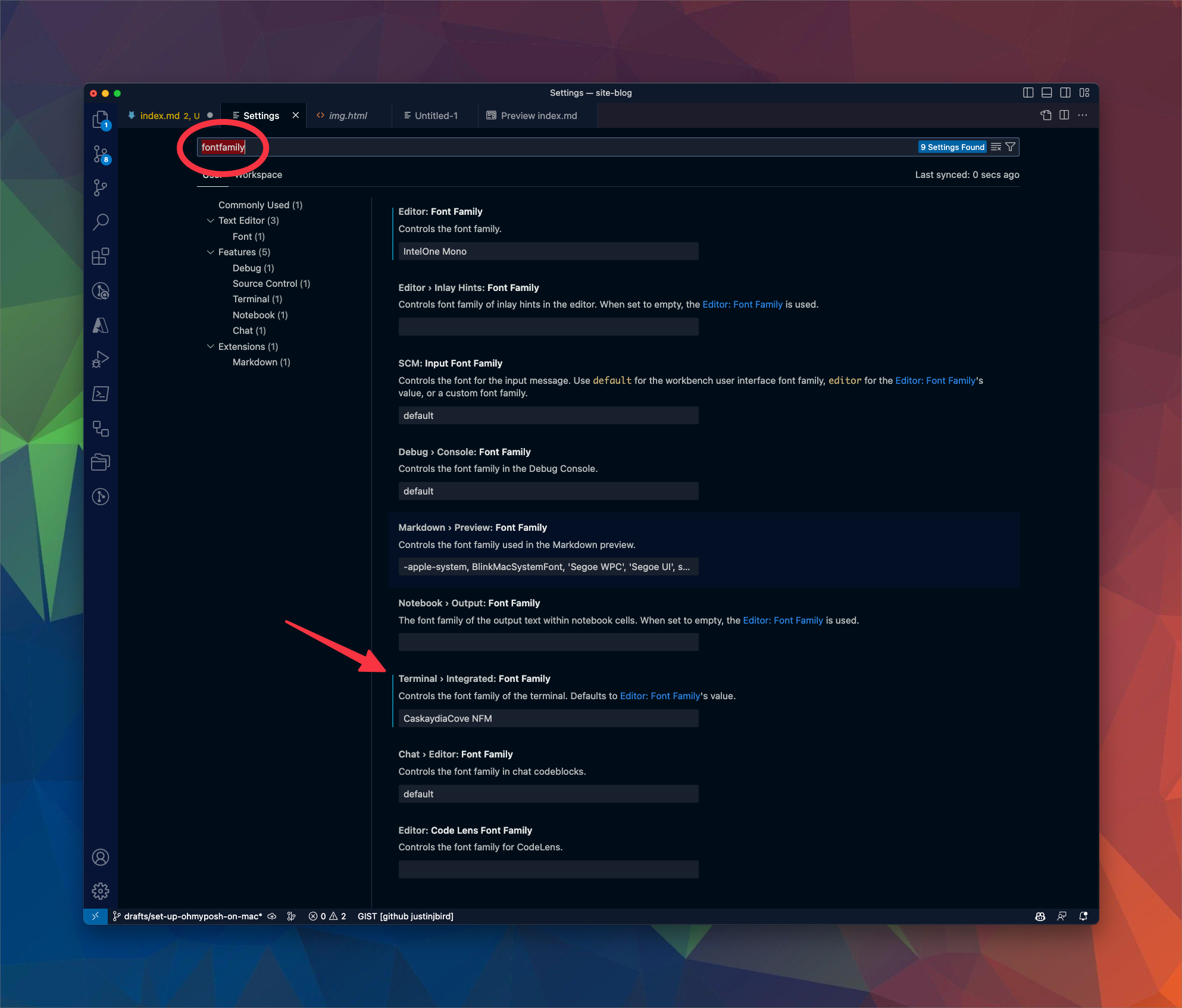image shows the vscode settings, the search bar has fontfamily input and Terminal > Integrated: Font Family has been updated to CaskaydiaCove NFM